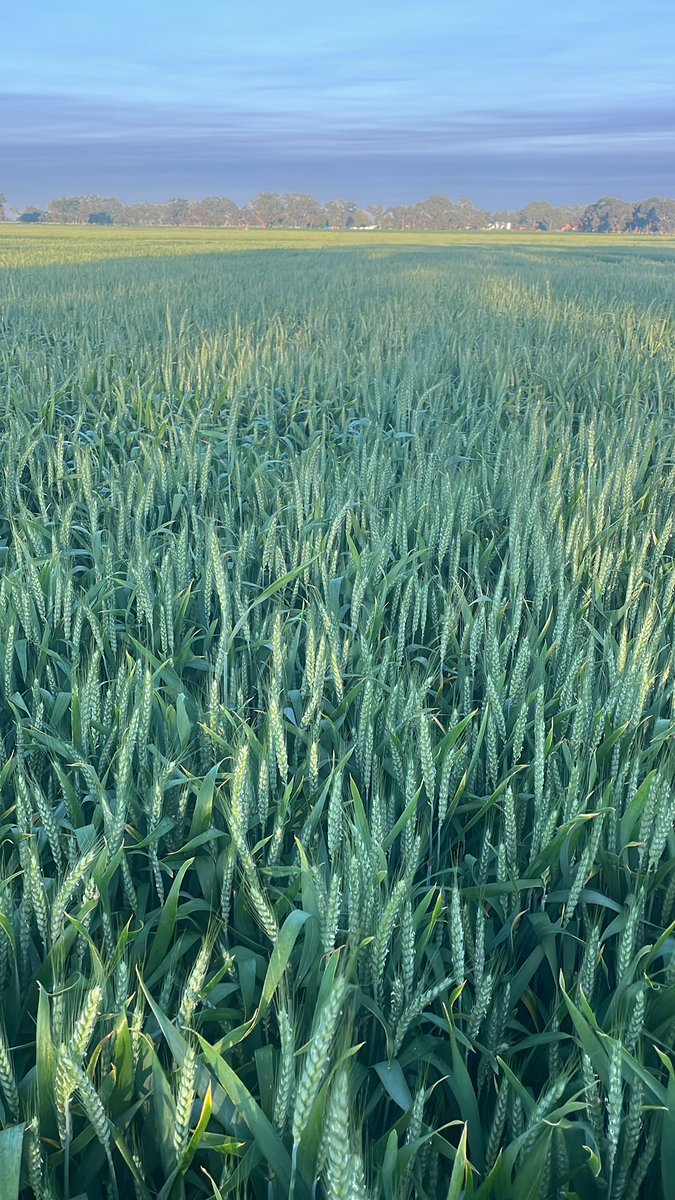 Rob Bell tweet media