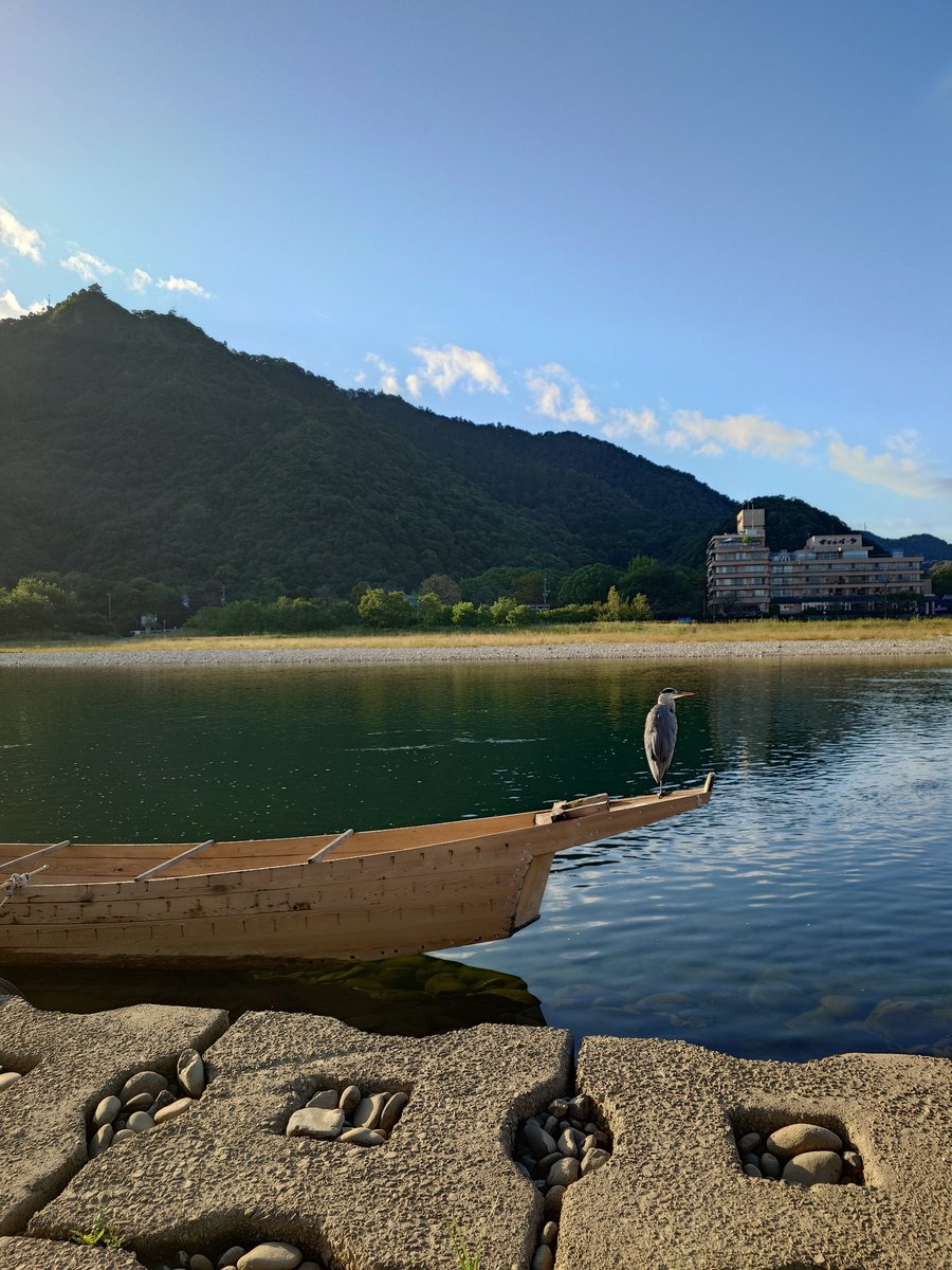 subrow326's tweet image. おはようございます☀
快晴の金華山と長良川
風はひんやりしている
定位置のアオサギは背中が暖かそうだ