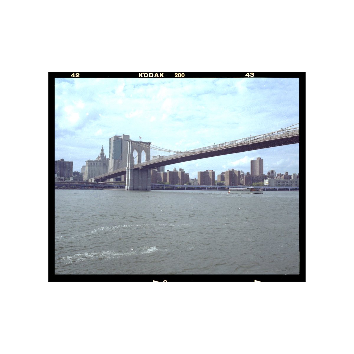 PhotoDANY's tweet photo. New York 🇺🇸 #roadtrip #photography #drive #USA #canada #trip #landscape #ordinary #urban #roadtripusa #roadtripcanada #plane #train #bus #car #hellofrom #videography #film #mamiya7 #120film #kodakgold200 #roadside #foodtruck #colour #newyork #nyc #ferry #dumbo #brooklynbridge https://t.co/h1bIMFHcJN
