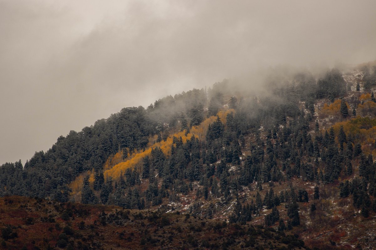 Utah Valley CC tweet media