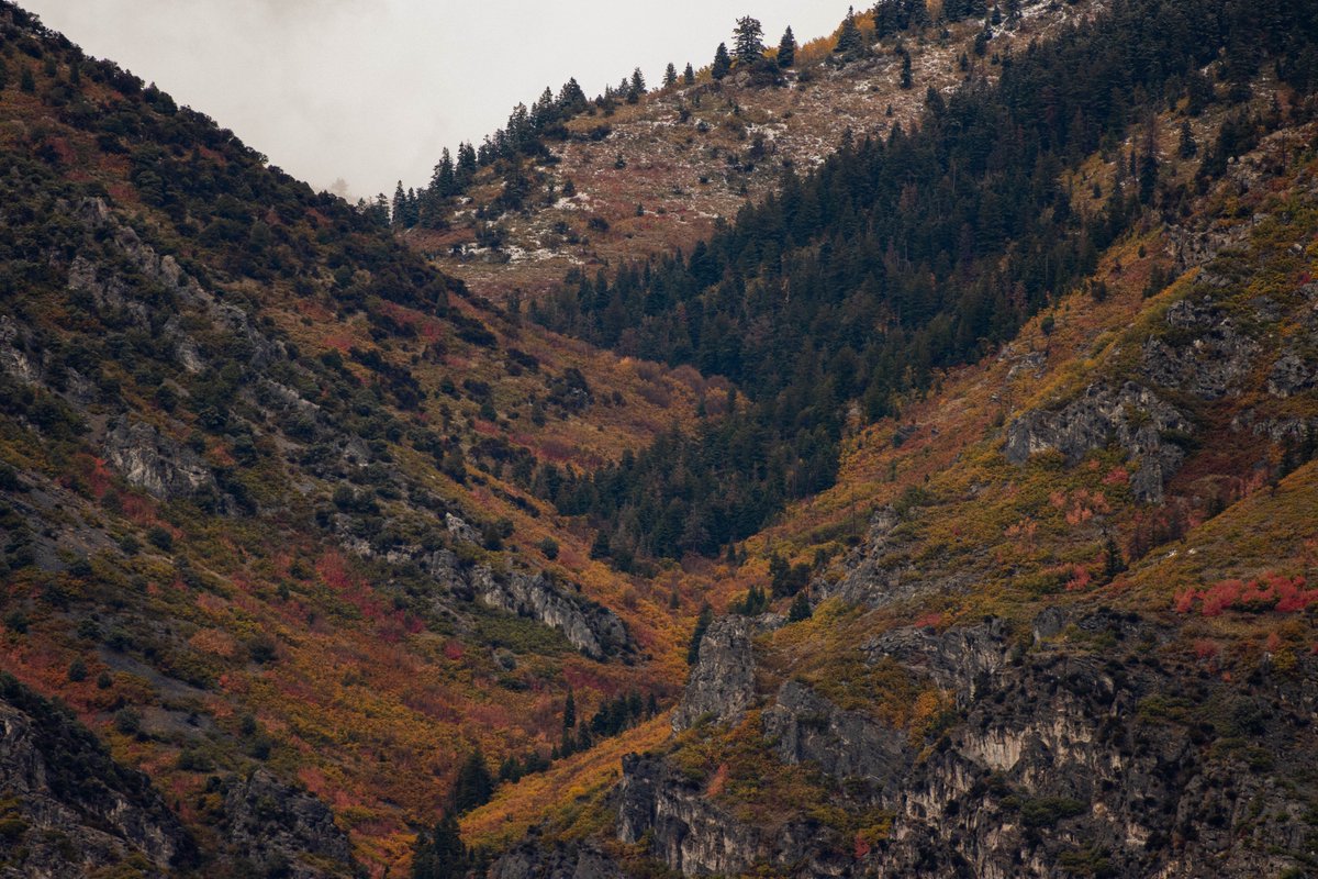 Utah Valley CC tweet media