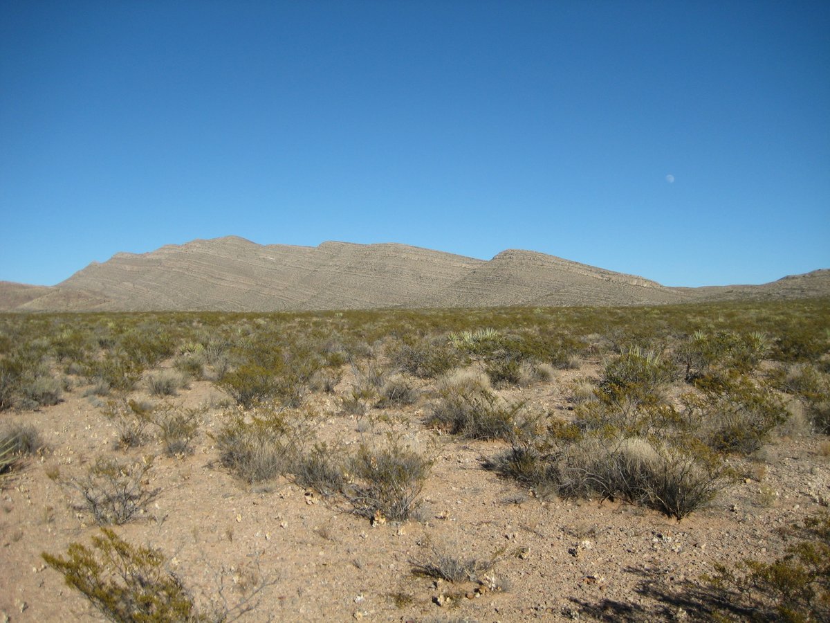 Brandon Bestelmeyer (@bbestelm) on Twitter photo Ecology/range technician (B.S/B.A req.) opening to collect plant and soil data on long-term monitoring and restoration experiments in desert grasslands <a href="/TheJornada/">The Jornada</a> and across southwestern New Mexico. You will learn things that few ever will. careers.nmsu.edu/jobs/research-⦠Ecology/range technician (B.S/B.A req.) opening to collect plant and soil data on long-term monitoring and restoration experiments in desert grasslands <a href="/TheJornada/">The Jornada</a> and across southwestern New Mexico. You will learn things that few ever will. careers.nmsu.edu/jobs/research-ā¦