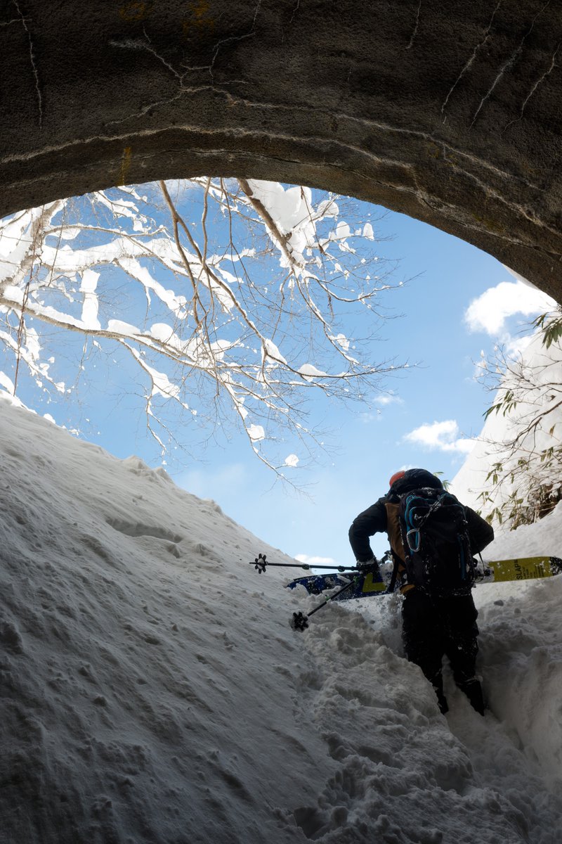 powderhounds1's tweet photo. The Myoko region of Japan is renowned for massive amounts of snow - this Japow Experience 9 night tour includes powder chasing in the backcountry at Myoko plus the potential to visit Nozawa Onsen, Madarao, Arai and Shiga Kogen https://t.co/w7K1qUpoAB https://t.co/7jru5RJKjH