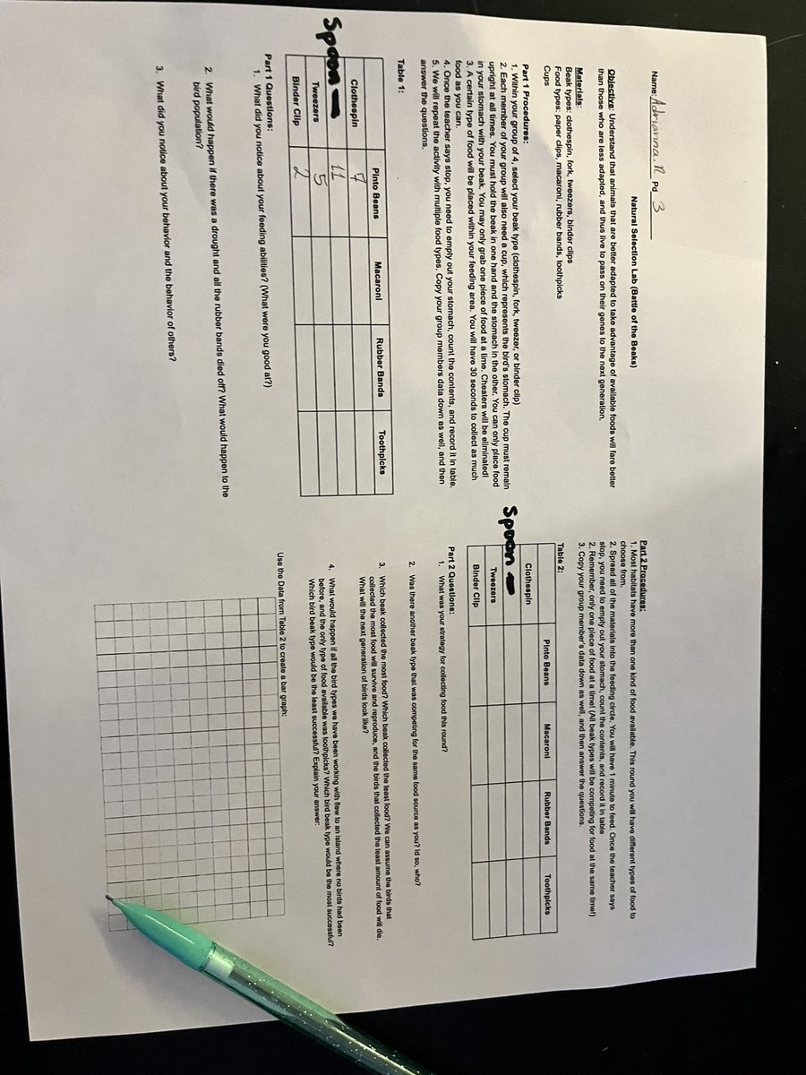 Shelby Cook tweet media