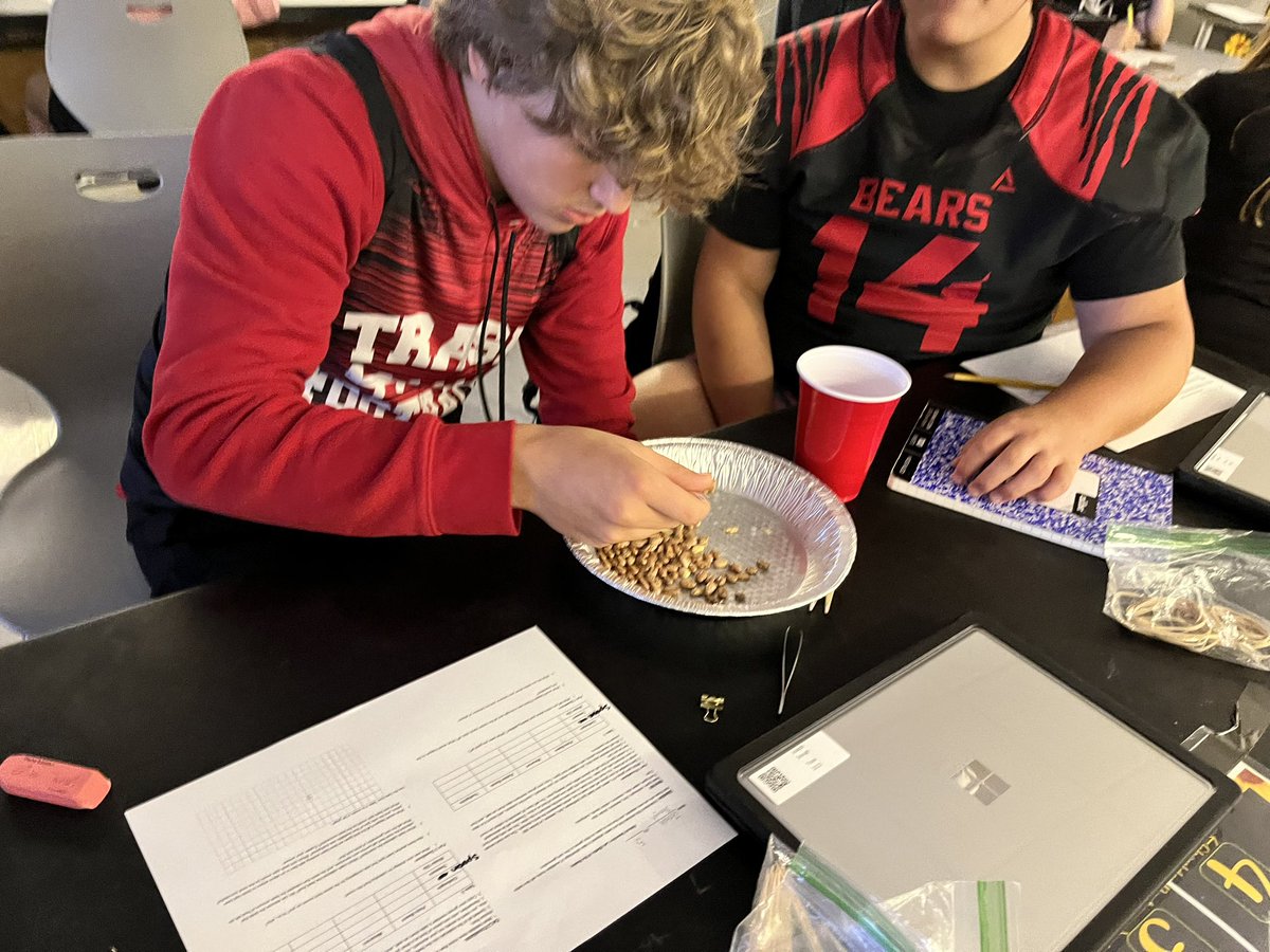 Shelby Cook tweet media