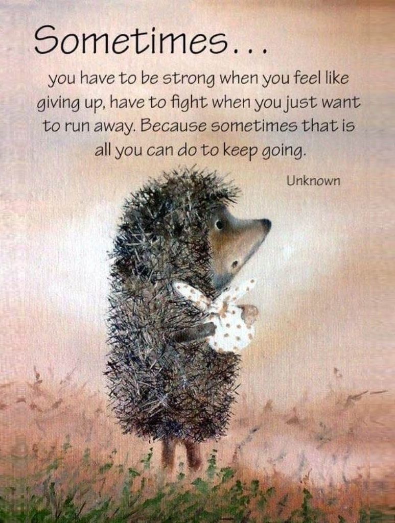 Sometimes.. You have to be strong when you feel like giving up Have to  fight when you just want to run away. Because sometimes that is all you can  do to keep, image size:773x1024