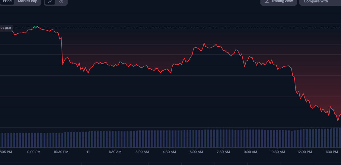 X IS DOWN CRYPTO IS DOWN IM GOING TO 0 WHAT DO I DO