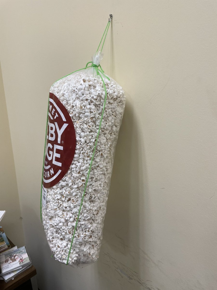 callibrarian's tweet image. Other duties as assigned. Bought snacks for an upcoming program and had to figure out how to keep them safe from mice. #librarianproblems