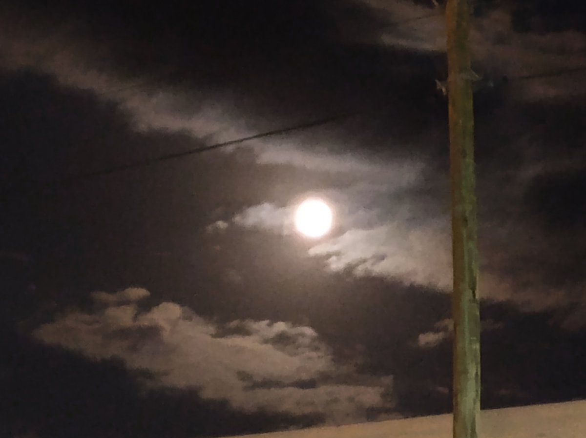 Lamiaanima11's tweet photo. Ahora que la noche nos habita,ahora que estás a solas con tu nombre,te miro y en una brisa,te susurro,no temas,no te sientas sola,yo estoy a tu lado,en perfecto silencio.
Puedes dudar,de todo,pero no dudes,que yo,creo en ti,con toda mi alma... https://t.co/5ho6xFQ7as