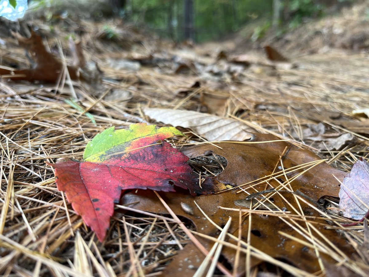 Lyn Cole (@lyn__cole) on Twitter photo 