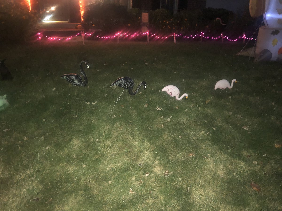 cgbrowndc's tweet photo. @WTOP Toxic waste with zombie raccoons and other critters. https://t.co/qAJpSMyvNY