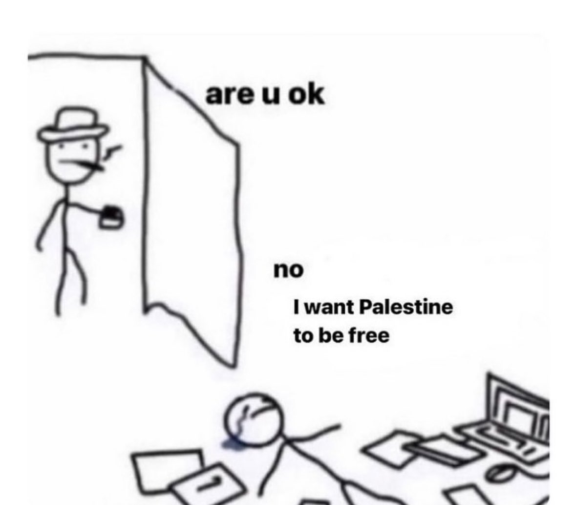 🇵🇸 tweet media