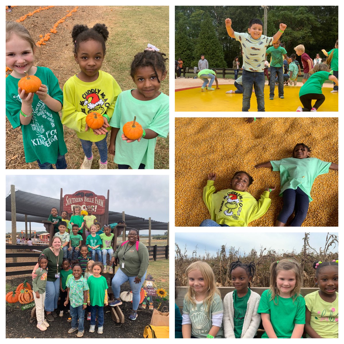 WCJones85's tweet photo. Southern Belle never disappoints! So much fun today! Field trips are exhausting and rewarding at the same time! I was so proud of these #kinder mustangs today! They represented 
@MtCarmelES_HCS well!
@SouthernBelleFa https://t.co/Rx4SWUqrUB