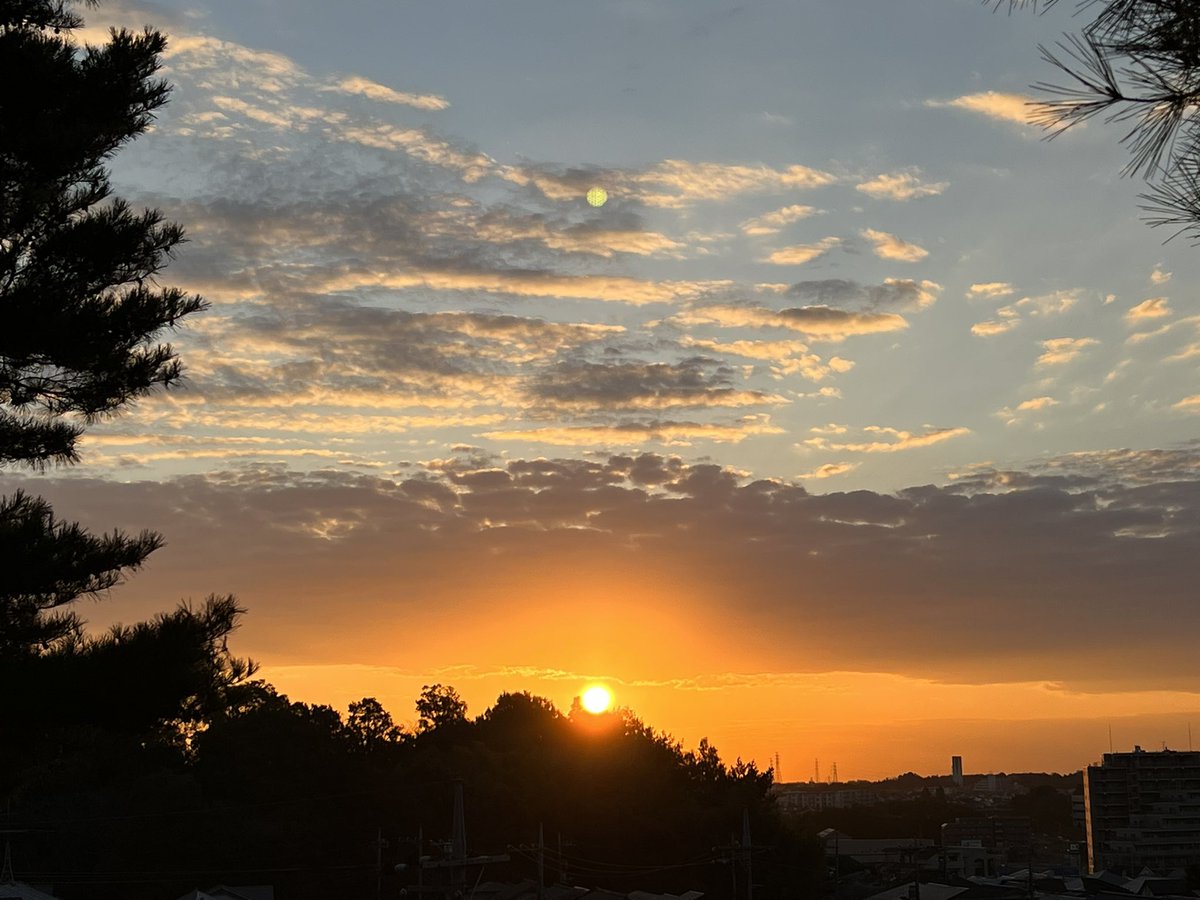 tamakoto55's tweet photo. Have a nice day🌤️&amp; nice running👟
Today’s 🏃🏼:0km/ Oct.Σ:0km
               🚶:10.2km
Today’s 🌸:Hachioji Tokyo🇯🇵
🏃‍♂️➡️ #NRC #TATTA #run #ランニング #朝ラン #日の出 #ロケ #人力車 #俳優 #骨折リハビリ中 #ウォークとジョグ
🌼➡️ #花写真 #flower #nature #ツルニンジン #蔓人参 #Codonopsis https://t.co/udmHNcVyEM