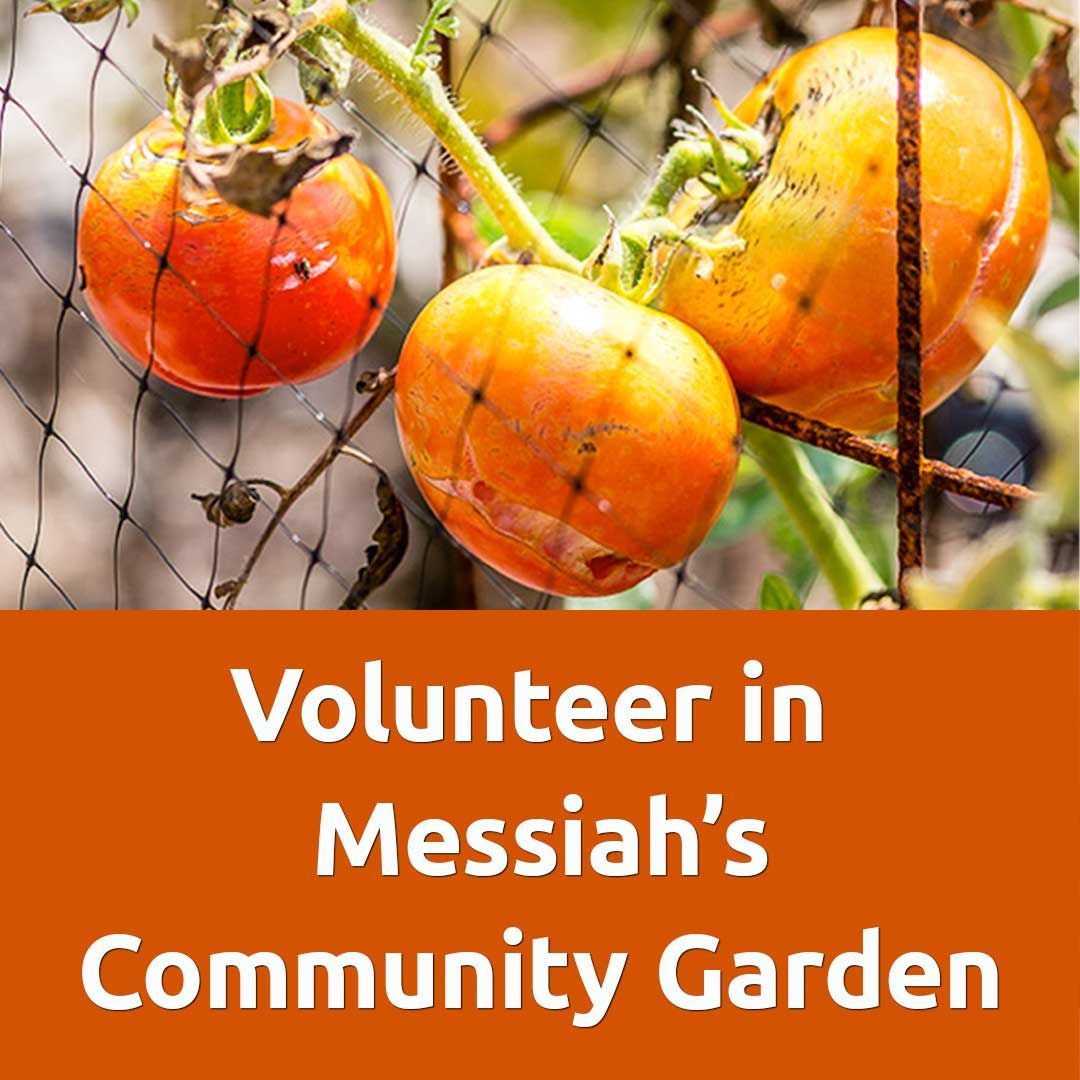 Messiah_Cypress's tweet photo. Join us for our community work day in Messiah's Community Garden this Saturday, October 14th at 8 am. All are welcome! https://t.co/iFdt1RjtUE