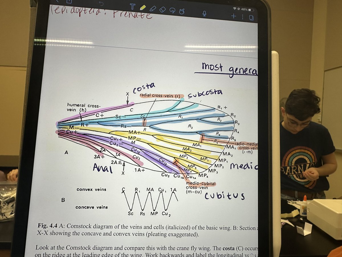 Dr. Bekka Brodie tweet media