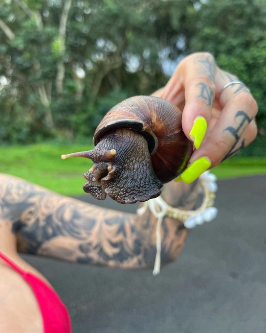 Dreaming 🌈 i am so grateful to being able to visit such amazing places like hawaii. Je ne r&eacute;alise pas