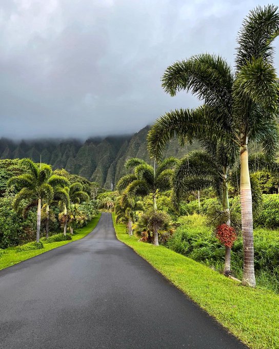 Dreaming 🌈 i am so grateful to being able to visit such amazing places like hawaii. Je ne r&eacute;alise pas