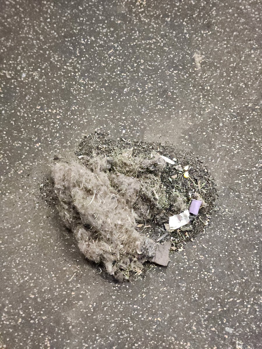 ProsperStrength's tweet image. Have to keep the floors clean for THE PROSPER HIGH SCHOOL weightroom.  Producing the high level athletes means keeping our facilities in the best conditions possible.
 #CleanFloors #EagleStrong #DYJ