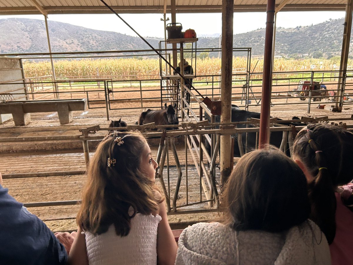 Ms.Welch tweet media