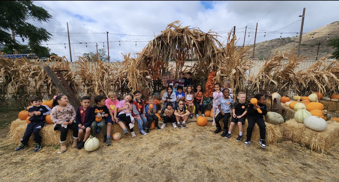 Ms.Welch tweet media