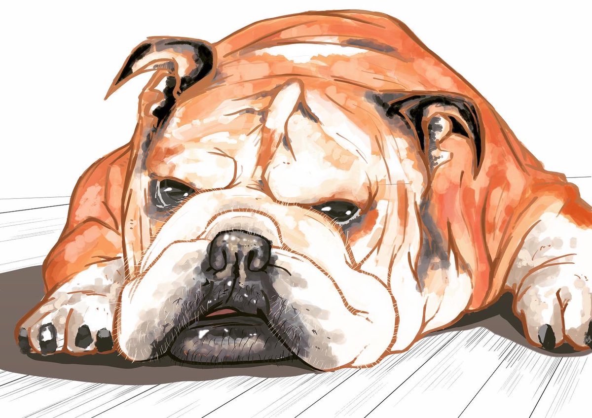 bts_xsb7's tweet photo. イッッッヌ

#犬
#アート
#イラスト
#ペット
#油絵
#絵画
#イラスト好きな人とつながりたい 
#イラスト依頼受付中 https://t.co/Hpuyk9L7Od