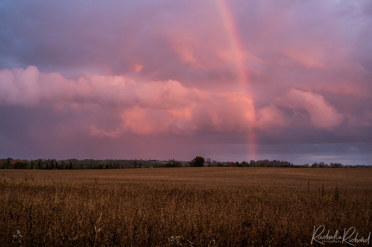 rachrichphoto's tweet photo. Wow, what an end to the day.
#thephotohour #chasingrainbows #rainbow #shareyourweather #sunsetsofcanada @KMacTWN 
https://t.co/dWenybrOFN https://t.co/GYVolufd8L
