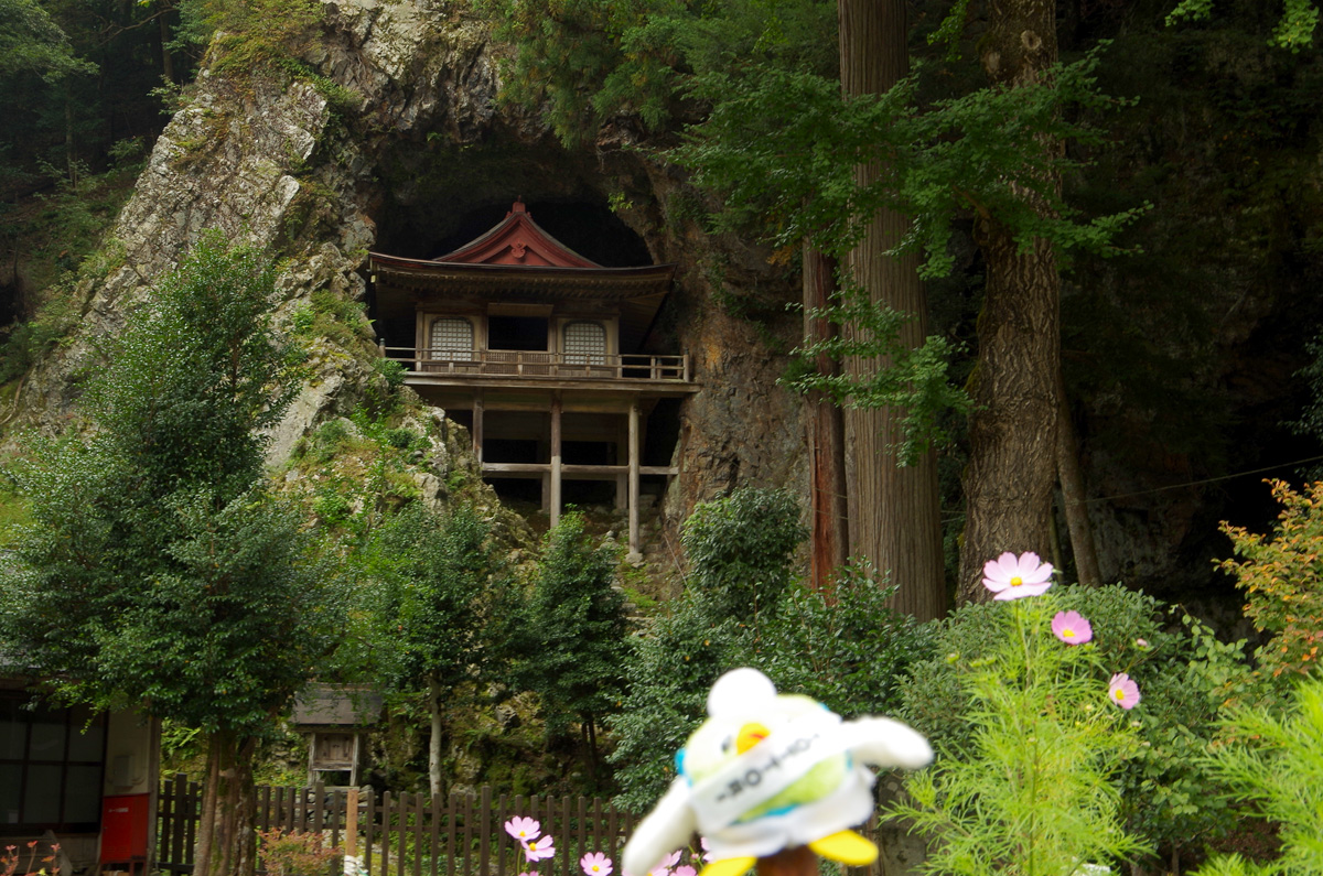 tottoripref's tweet photo. 今日は、前にボクが勝手に決めた記念日「投入の日」だよ。
これは若桜町にある不動院岩屋堂。 #日本三大投入堂 のうち２つも鳥取県にあるんだ！
さらにここには #日本三大不動明王 のひとつもあるんだ！
ちなみにボクは #日本三大梨キャラ の一人だよ（自称

じゃあ、今日もよろしくね！ https://t.co/MAeP3t0pK2