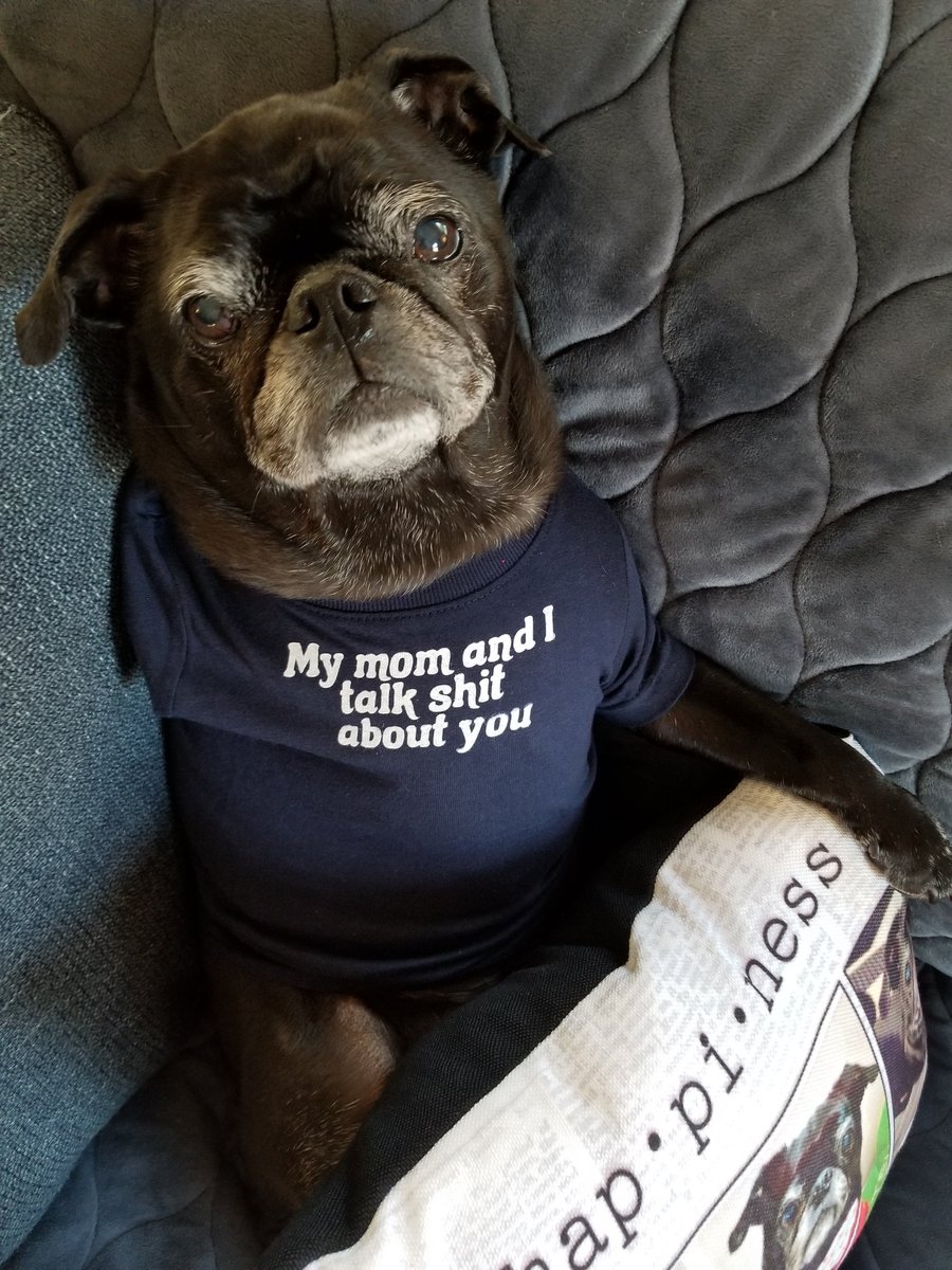 Mister Pemberton tweet media