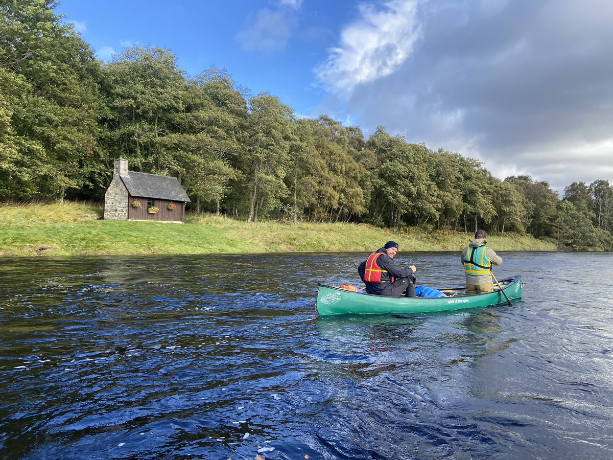 Dave Craig tweet media