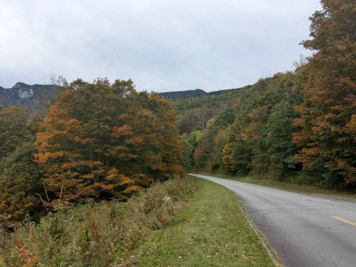 HomesoftheSouth's tweet photo. Saw some color up at the 4000 plus elevation near #GrandfatherMountain and #LinnCoveViaduct today. @wxbrad #cltdevelopment Fall is starting its journey down to the flatlands. https://t.co/8mPeD99R4q