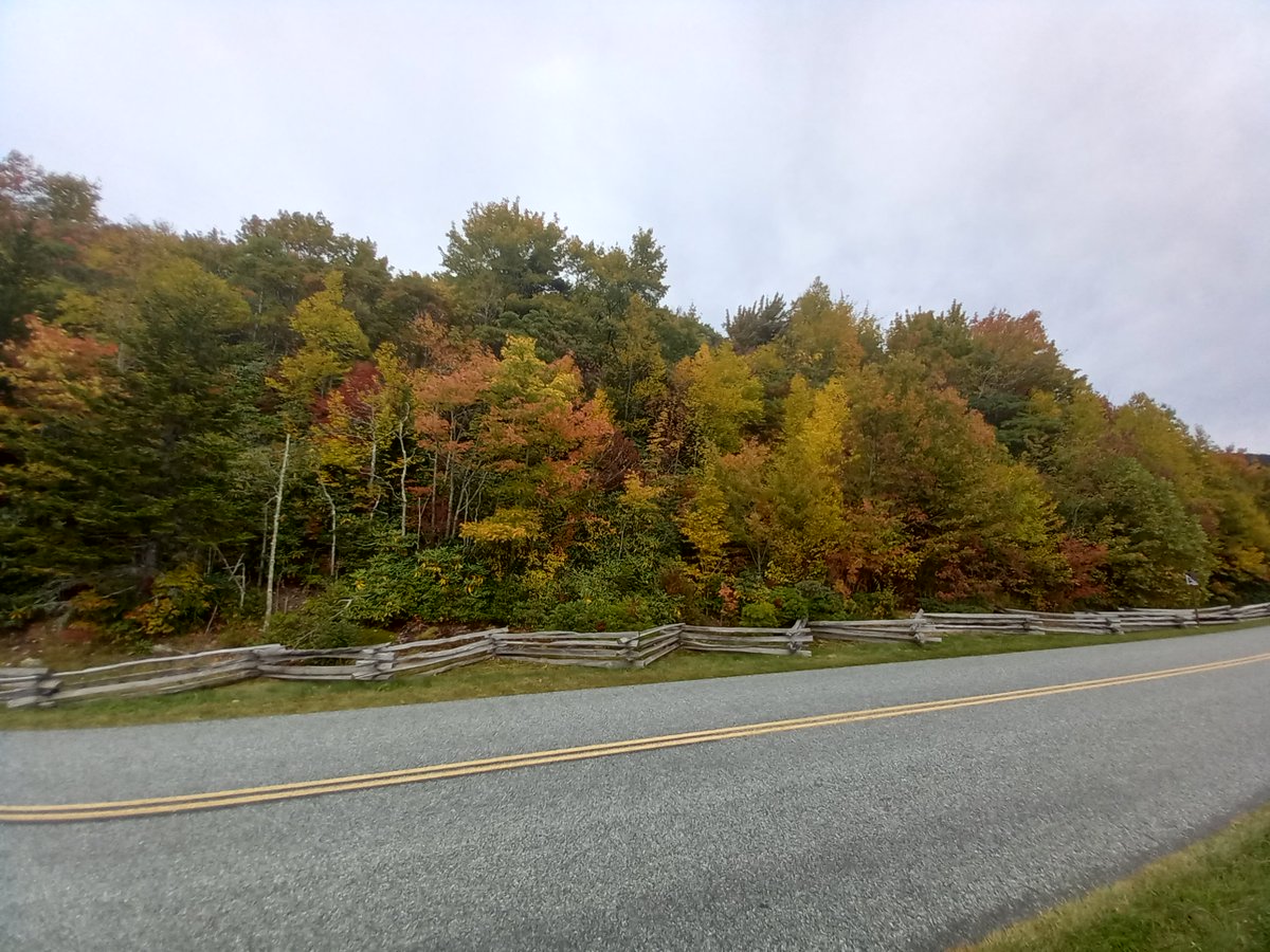 HomesoftheSouth's tweet photo. Saw some color up at the 4000 plus elevation near #GrandfatherMountain and #LinnCoveViaduct today. @wxbrad #cltdevelopment Fall is starting its journey down to the flatlands. https://t.co/8mPeD99R4q