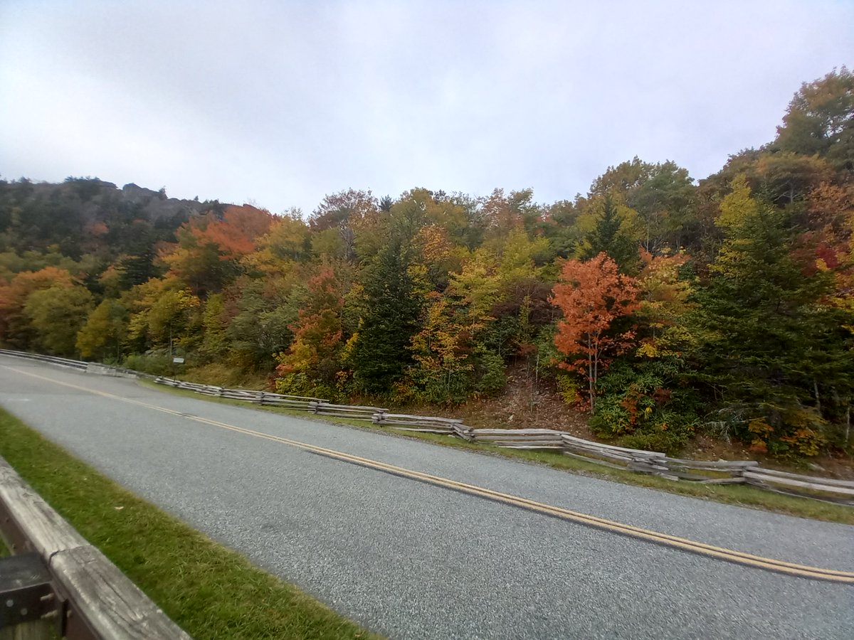 HomesoftheSouth's tweet photo. Saw some color up at the 4000 plus elevation near #GrandfatherMountain and #LinnCoveViaduct today. @wxbrad #cltdevelopment Fall is starting its journey down to the flatlands. https://t.co/8mPeD99R4q