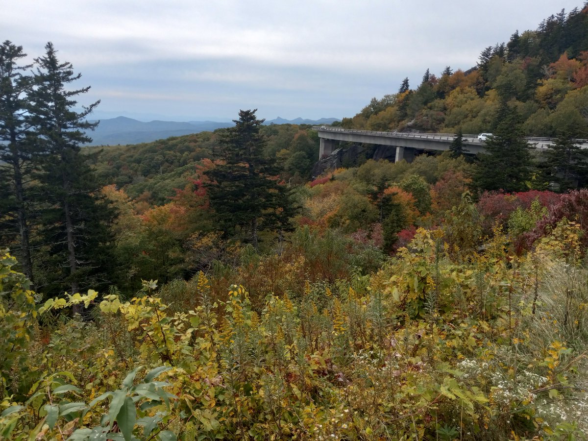 HomesoftheSouth's tweet photo. Saw some color up at the 4000 plus elevation near #GrandfatherMountain and #LinnCoveViaduct today. @wxbrad #cltdevelopment Fall is starting its journey down to the flatlands. https://t.co/8mPeD99R4q