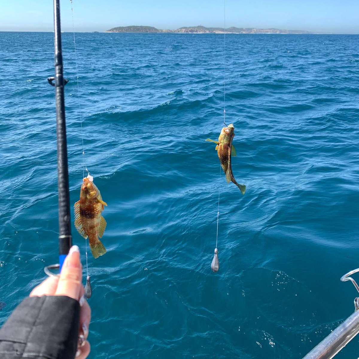 nova11998's tweet photo. Catching the rainbows in the sea. https://t.co/ewZahJFSzA