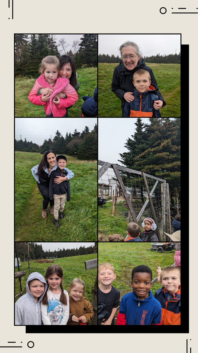 Lilly Regular tweet media