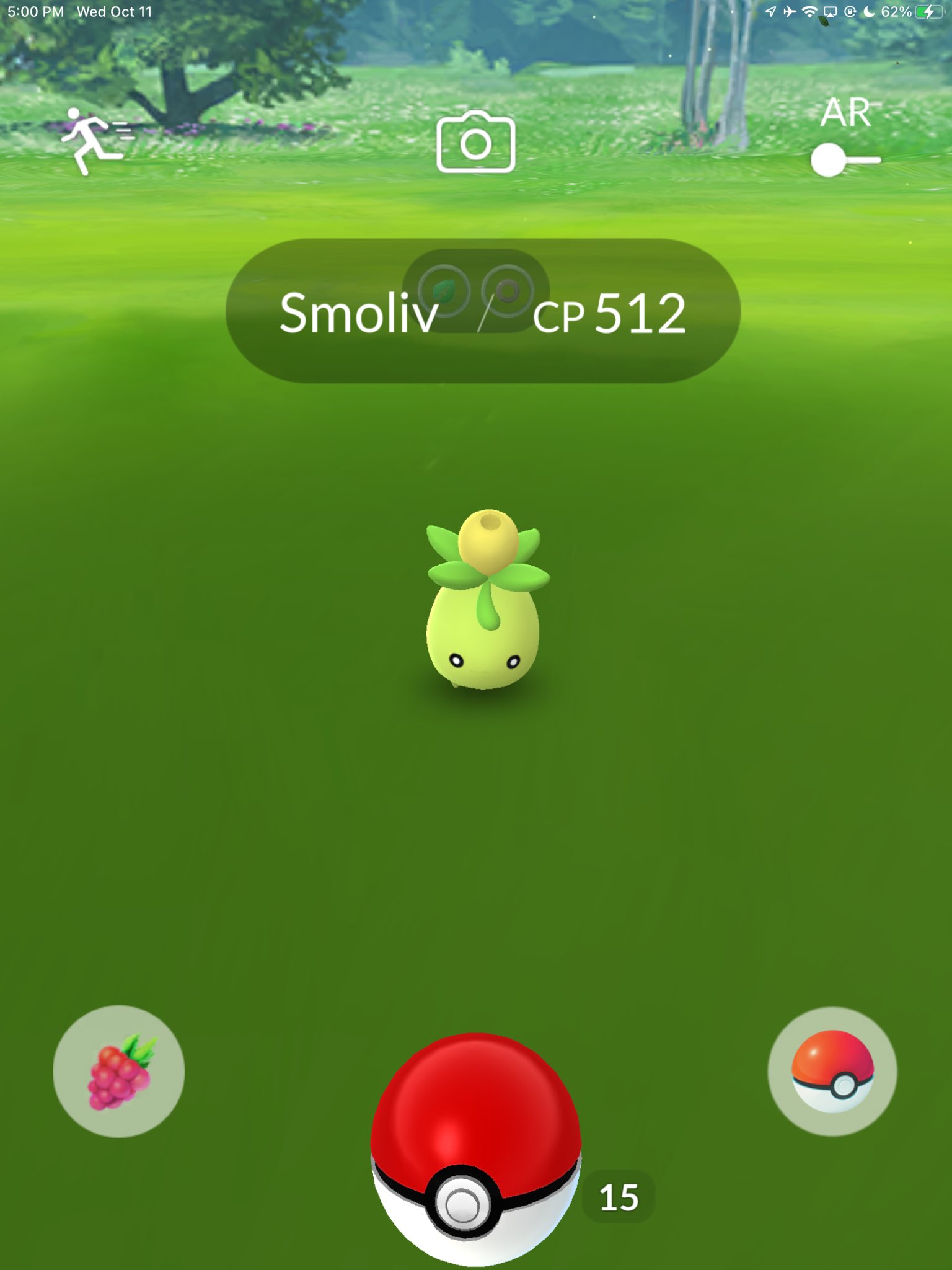 Can Smoliv Be Shiny in Pokémon GO?