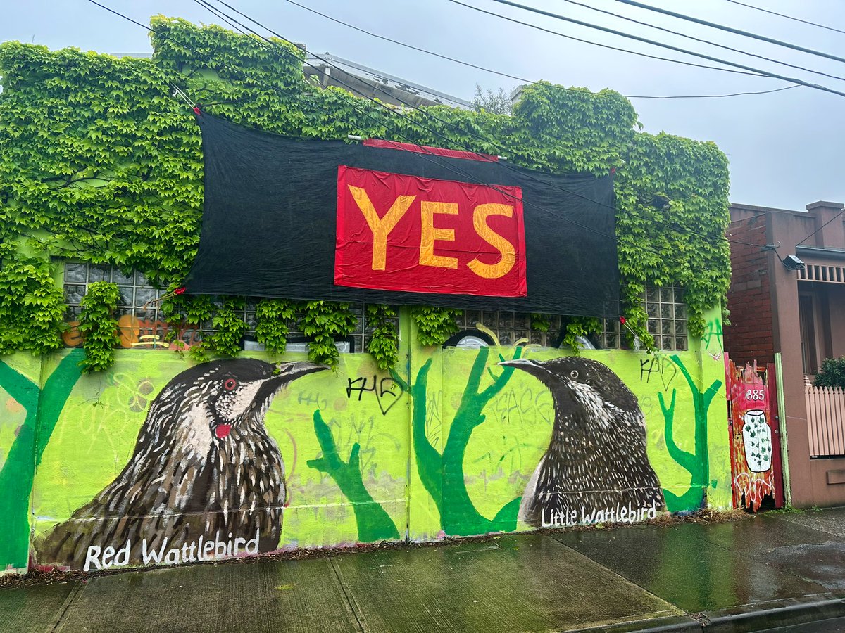 aabalmain's tweet photo. It’s a #Yes from Brunswick.

Is this the best home made #Yes23 sign in Melbourne? 

I’m loving all the home made signs on buildings and window.

What’s your favourite home made #VoteYes23 sign? 

#VoteYES23Australia @yes23au https://t.co/B9lQt904IH