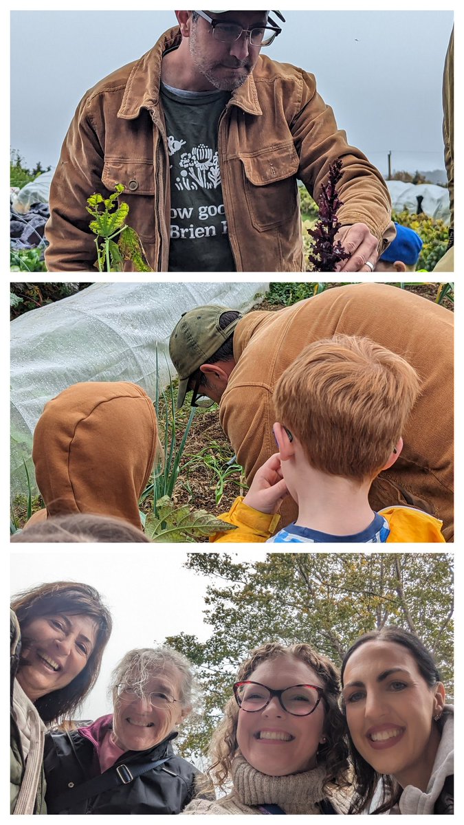 Lilly Regular tweet media