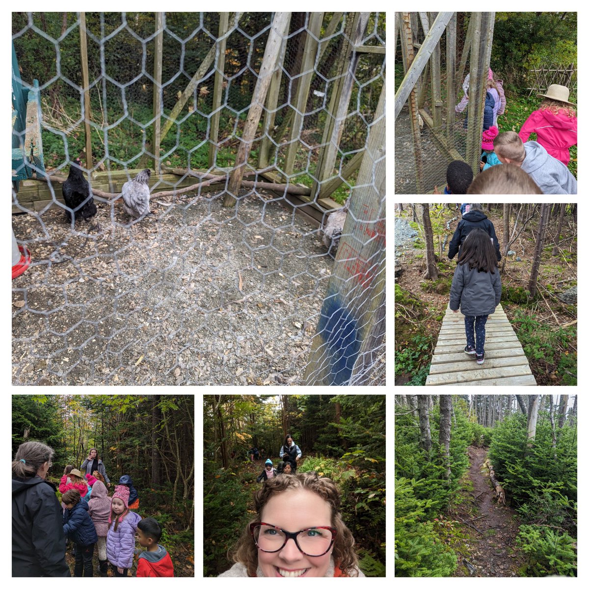 Lilly Regular tweet media