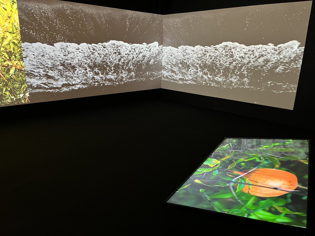 VisualStudiesNU's tweet image. What a great day to visit @ICAinBOSTON with ARTH2211 contemporary art students! @northeastern @NU_CAMD