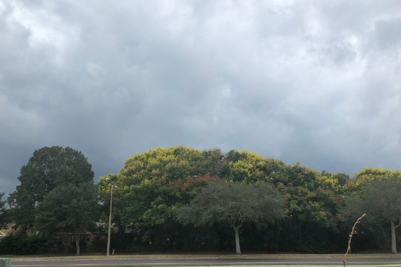 SenecaHoward's tweet photo. ‘I Hear, I Hear Autumn Winds Calling’
By Seneca Howard

“Its quietness &amp; tranquility bring about a peace...” More➡️https://t.co/uvBlqTKFxF

https://t.co/vE6EZ7Iwpg
https://t.co/NwtL5bc2s0
#dearreader #thewriter #author #writer #speaker #columnist #God #inspiration #autumn #rain https://t.co/wP6qiTxZG7