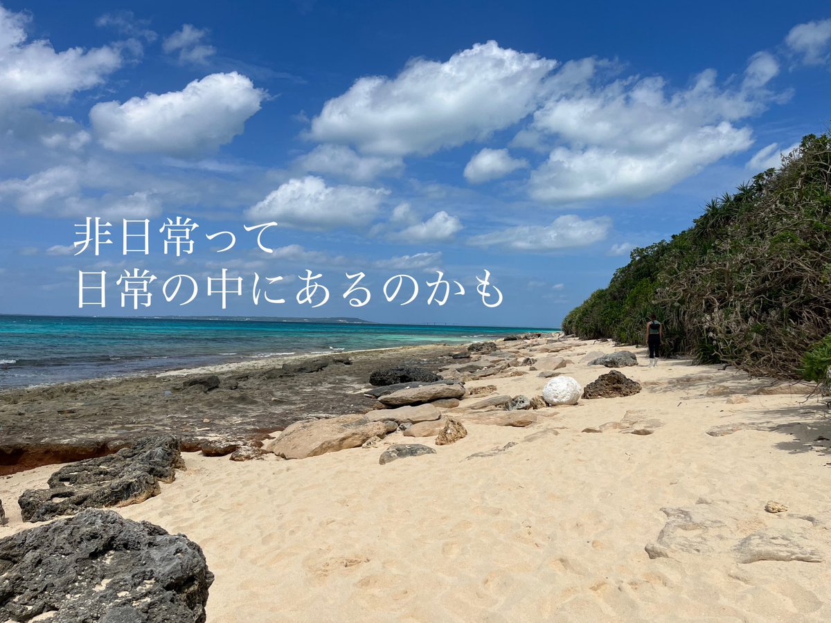 小谷野 圭 (@sunagimoreds) on Twitter photo 