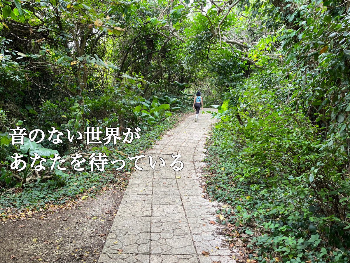 小谷野 圭 (@sunagimoreds) on Twitter photo 
