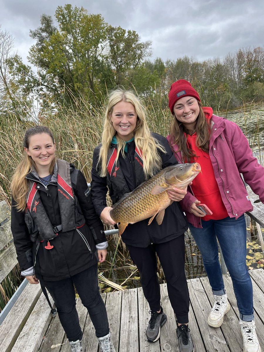 Patrick S. Forsythe tweet media