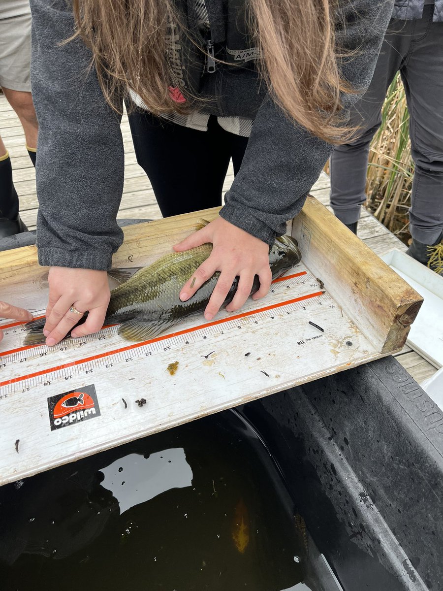 Patrick S. Forsythe tweet media