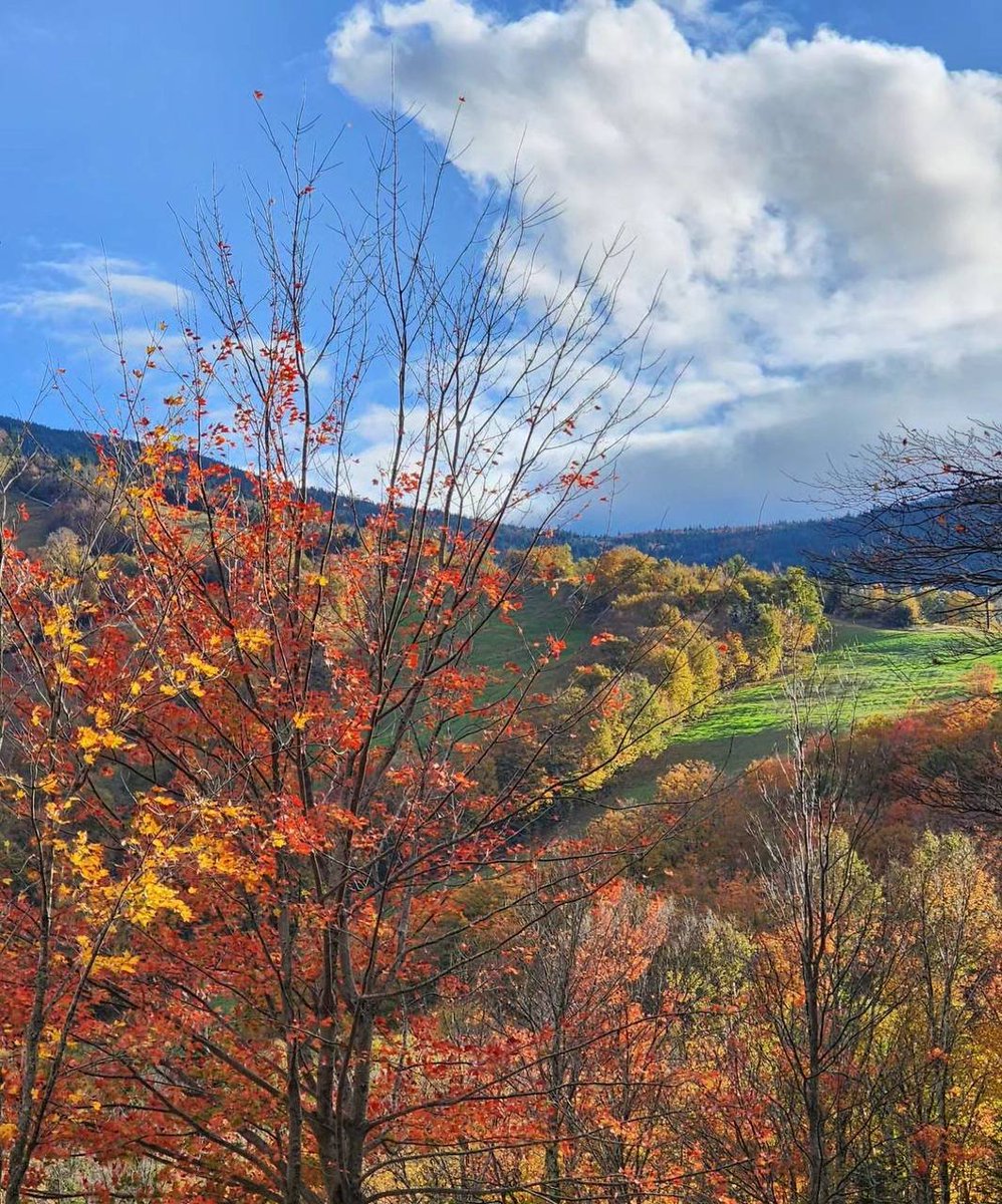 keep_sense's tweet photo. Autumn is dominant now everywhere. https://t.co/oPj4FMCKKT