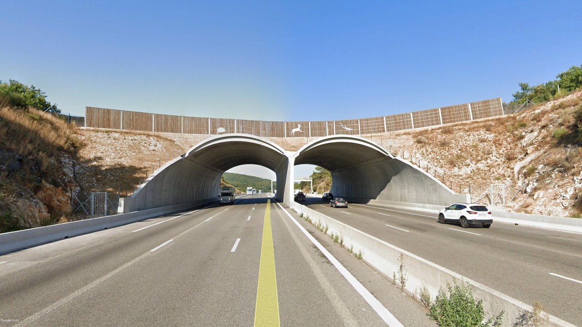 Grupo Hatso tweet media