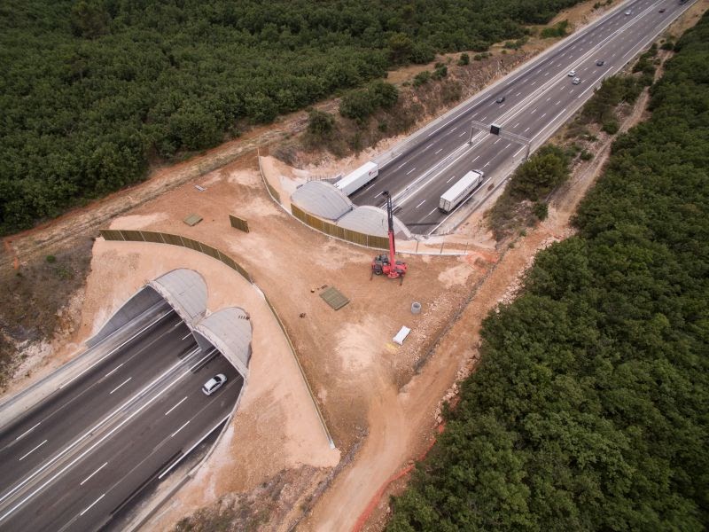 Grupo Hatso tweet media