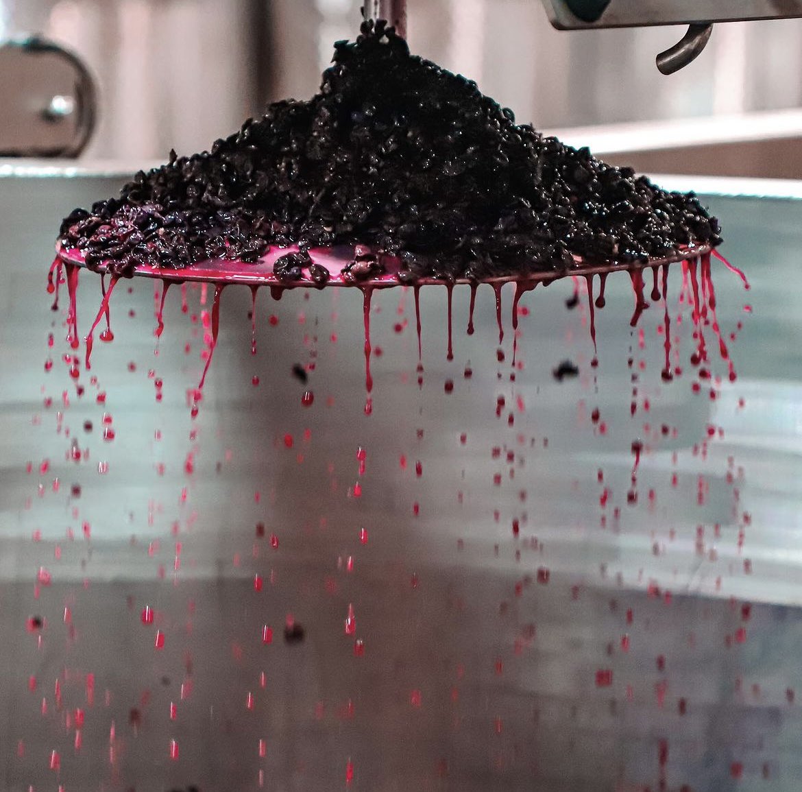 winesyndicate's tweet photo. It’s Punch down time at @StollerWine 🍇 The grapes are in the cellar and cap management for the Reserve Pinot Noir is underway!
#punchdown #pigeage #capmanagement #vinification #pinotnoir #stollerwine #stollerfamilyestate #dundeehills #willamettevalley #oregon https://t.co/ZdfccPb3cJ